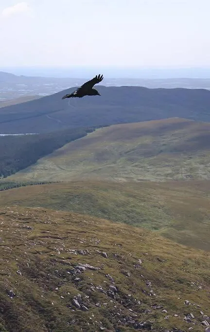 Cnoc Suain Villa Galway